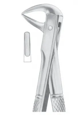 Fig. 137 lower incisors and roots 